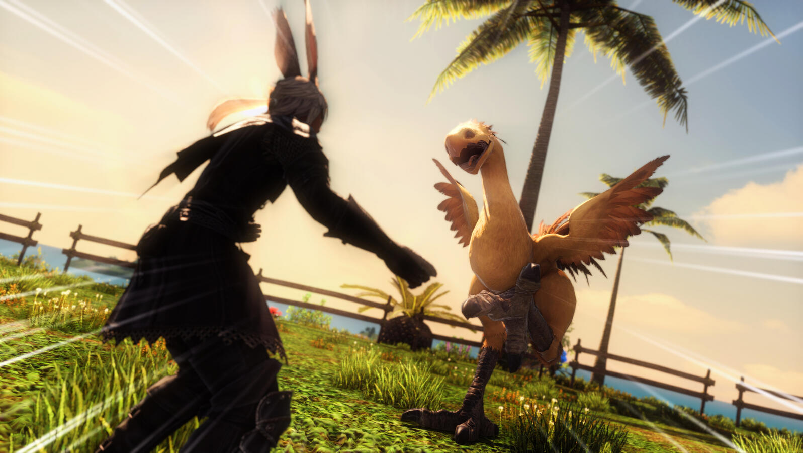 We still haven't tamed the island