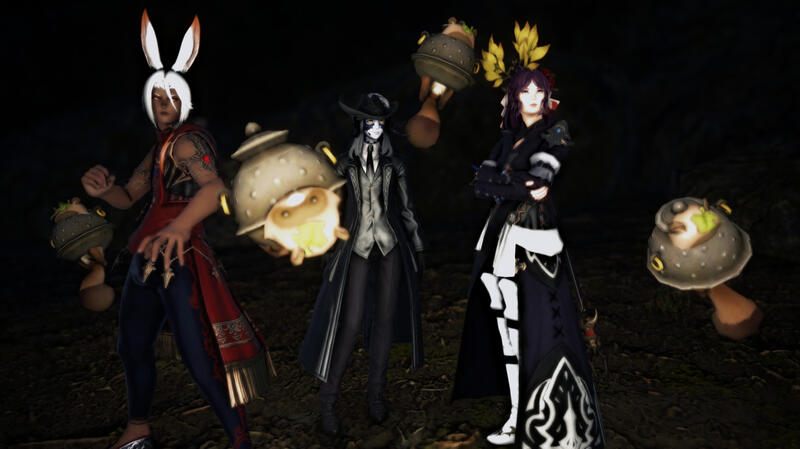 Caught in the dreamscape Caught in the dreamscape